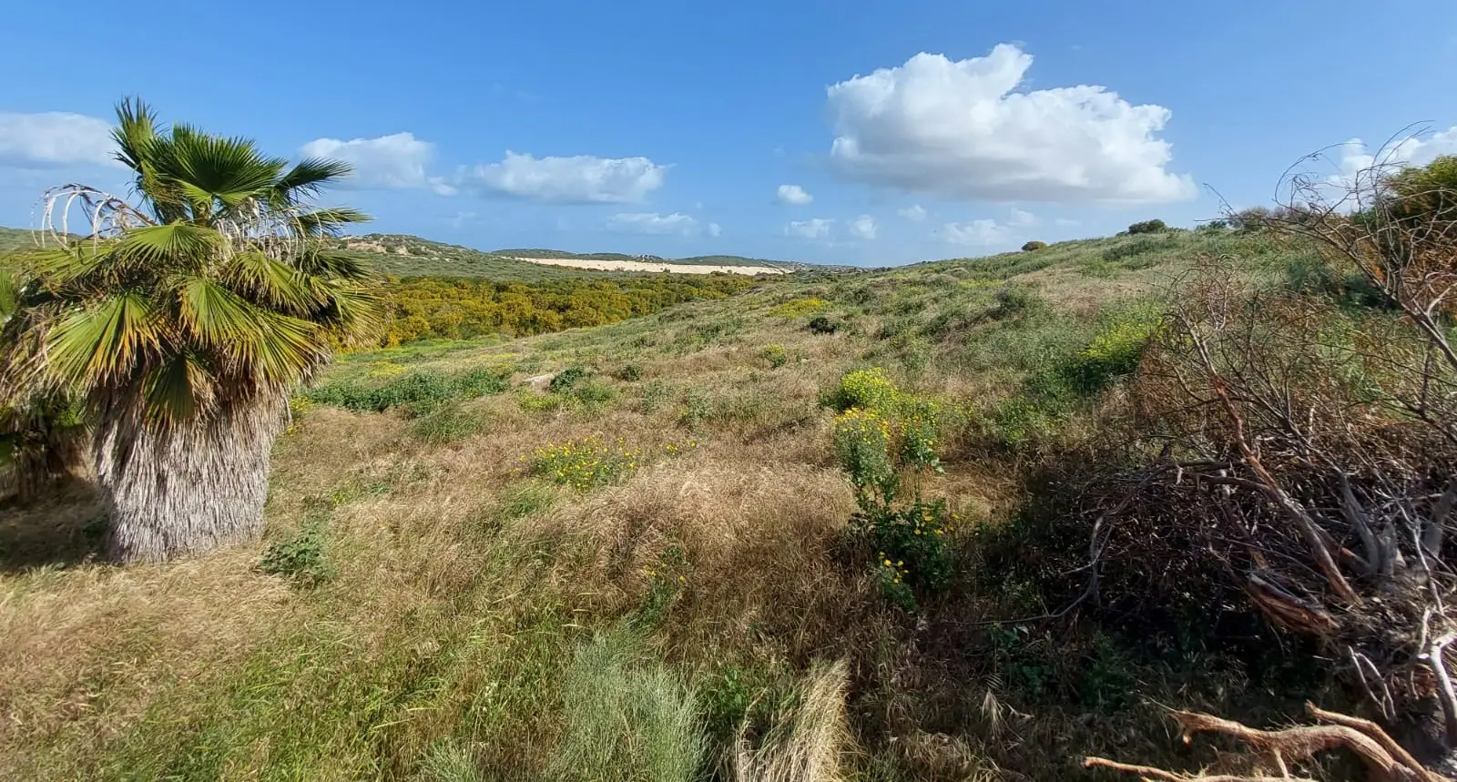 שיקום מטמנות רתמים וא.א. אשדוד: החברה לשרותי איכות הסביבה (ESC) והמשרד להגנת הסביבה